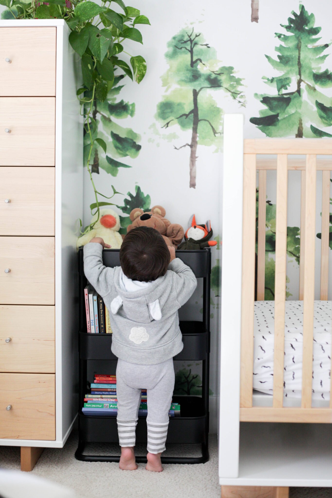 modern kids room with tree removable wallpaper