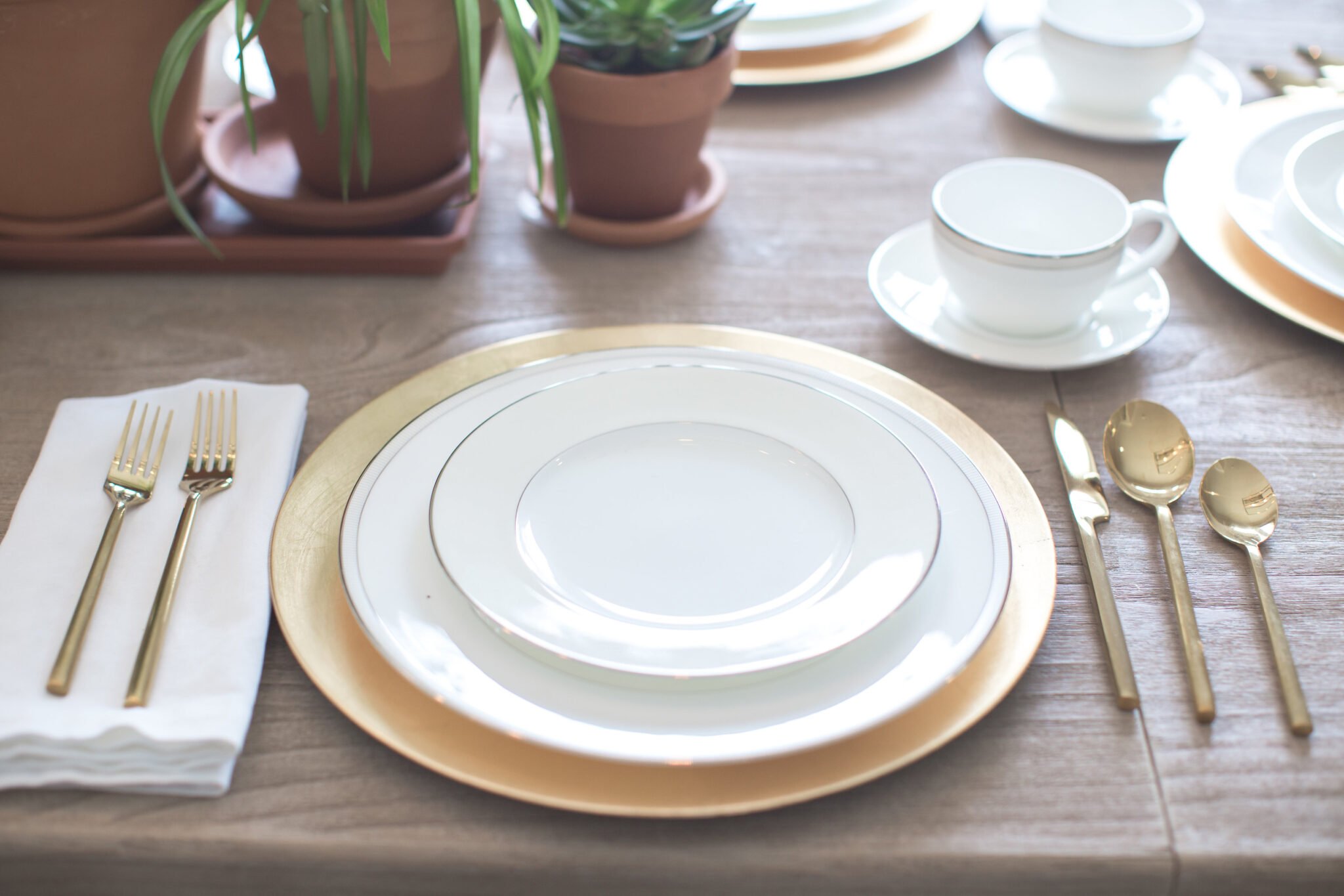 Place setting with houseplants as centerpiece