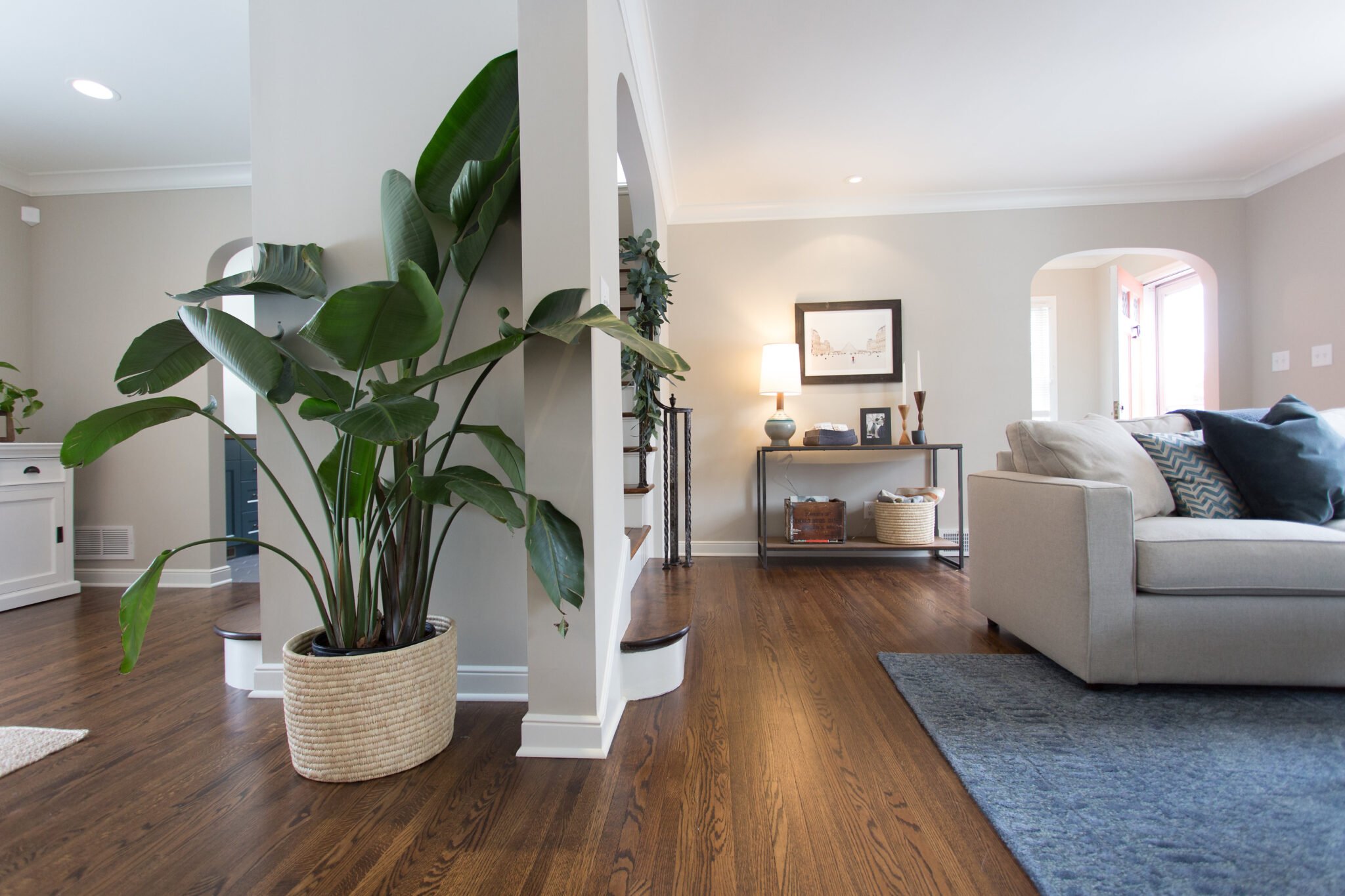 View of living room, console table and large houseplant