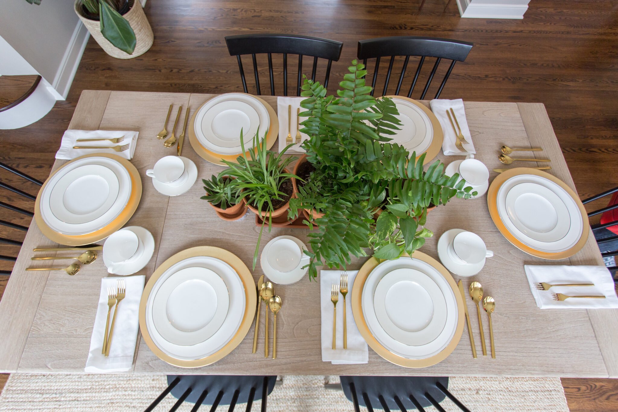 Tablescape with houseplants as centerpiece