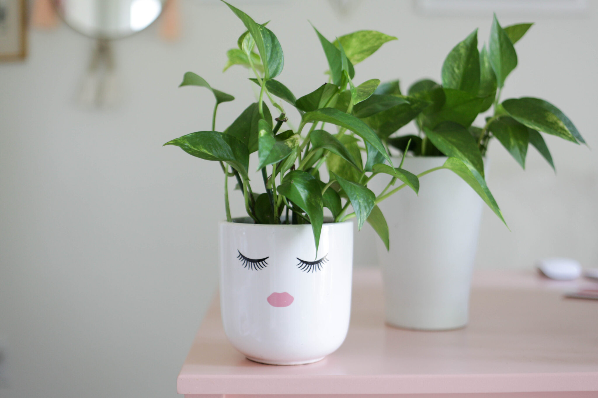 pothos plant in face pot with eyelashes