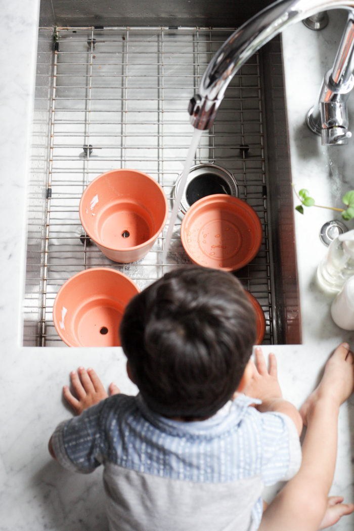 3 Things You Must Do When Using Terracotta Pots Paisley & Sparrow