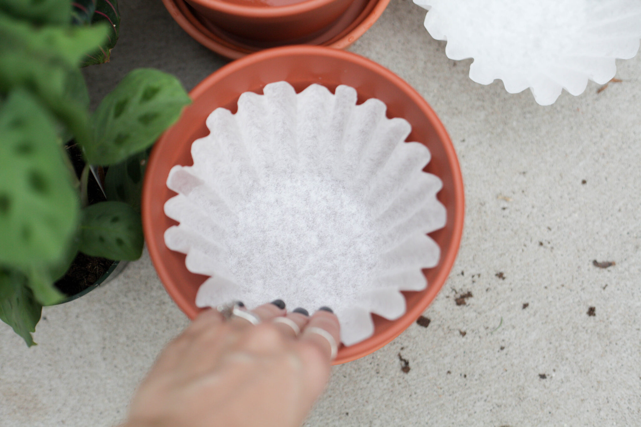 use a coffee filter in the bottom of your terracotta pot (2 of 8)