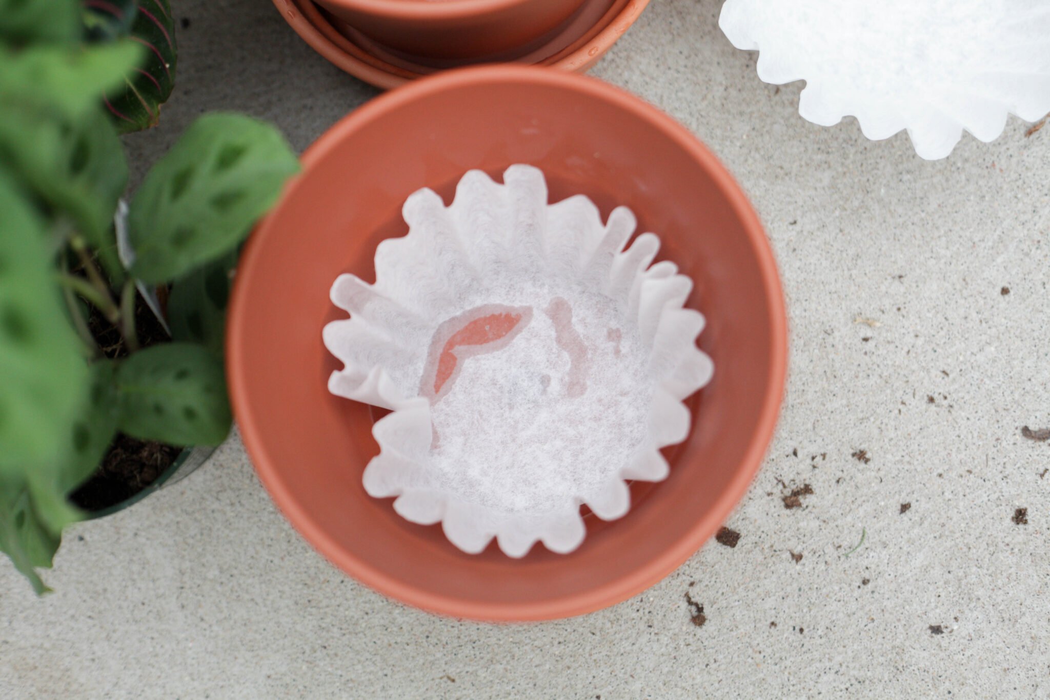 use a coffee filter in the bottom of your terracotta pot (2 of 8)