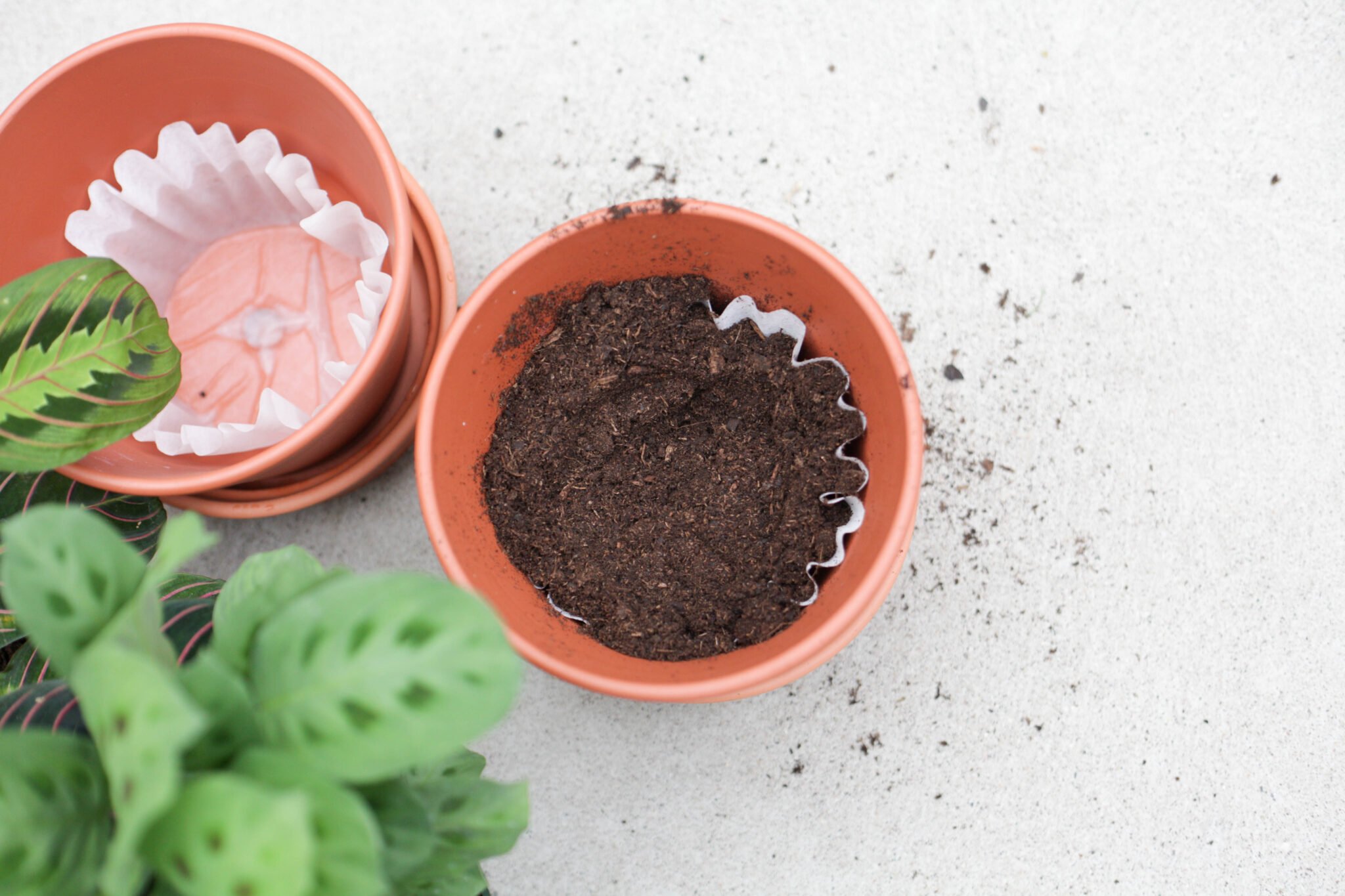 use a coffee filter in the bottom of your terracotta pot (2 of 8)