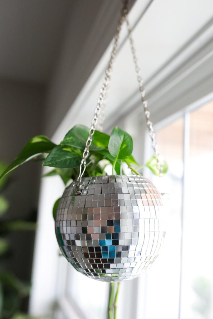 Plant hanging in a disco ball planter.