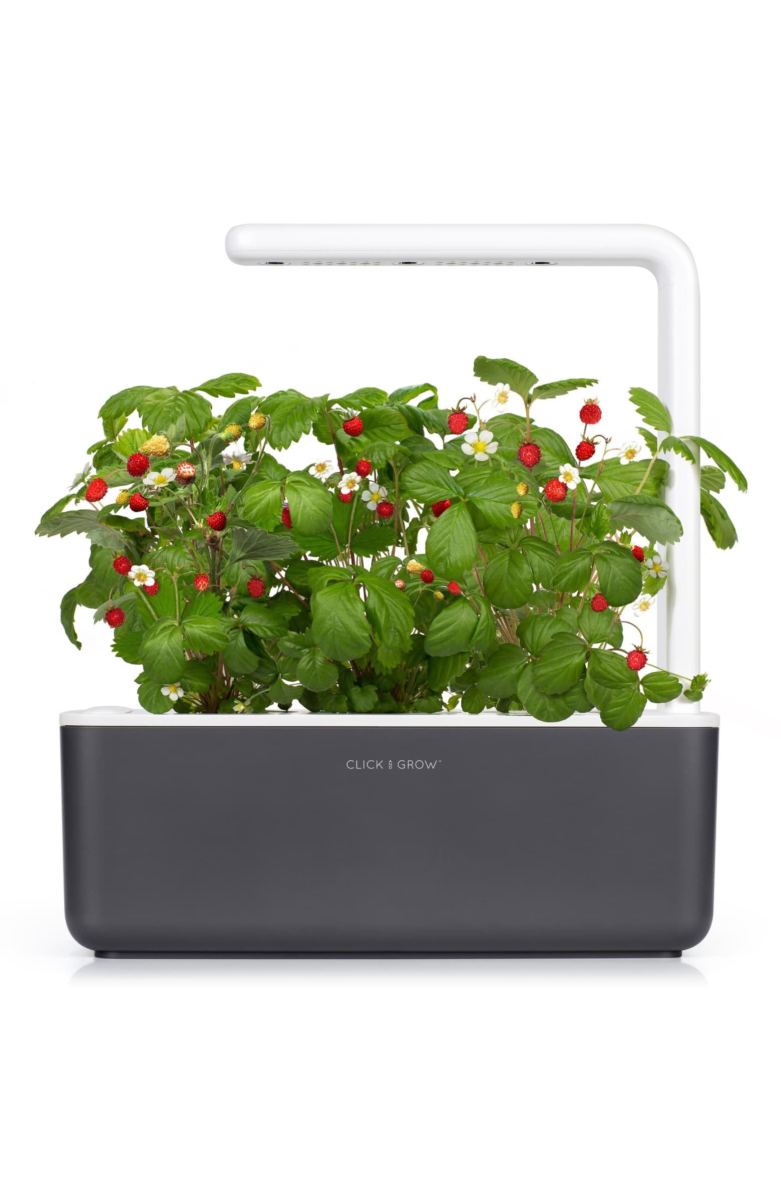 Click & Grow Indoor Herb Garden Kit with Grow Light