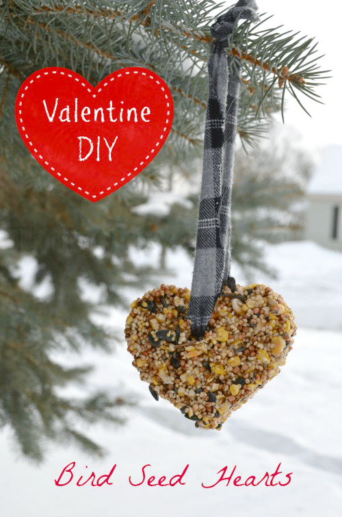 Bird Seed Hearts