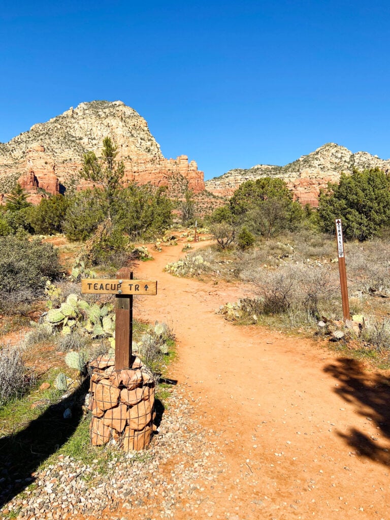 Hike at Teacup Trail