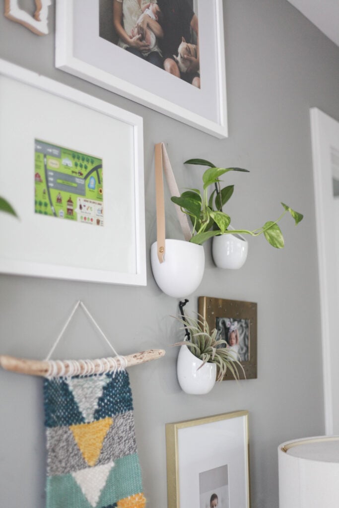 Hanging wall plants as part of a gallery wall