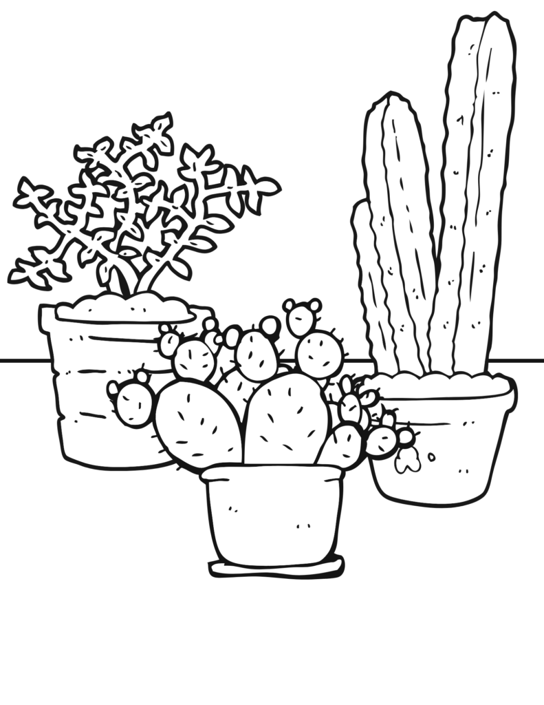 Plant coloring sheet