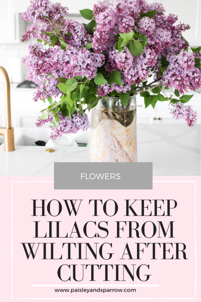 How to keep lilacs from wilting after cutting