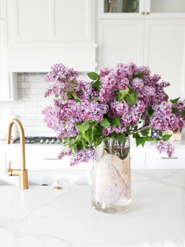 lilacs in kitchen