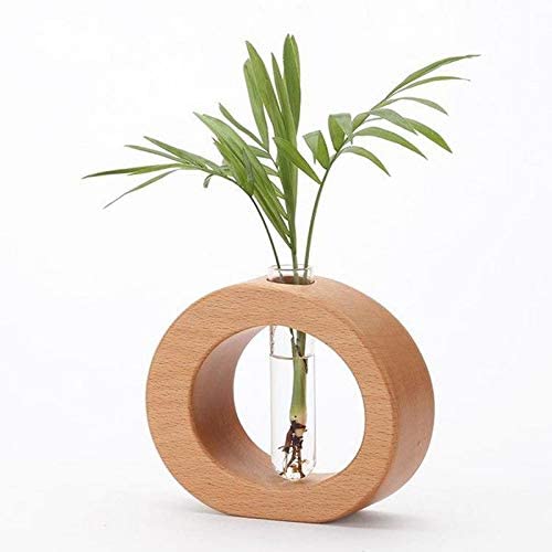 Glass Planter Propagation Stations Desktop Vase Test Tube Vase with Wooden Stand Terrarium Hydroponics Indoor Home Office Decor