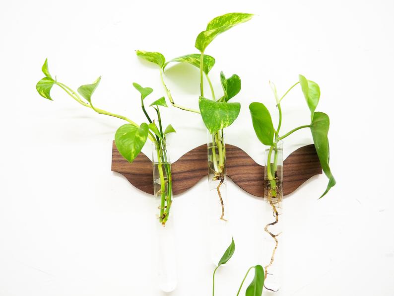 Curved Line Hanging Propagation Station