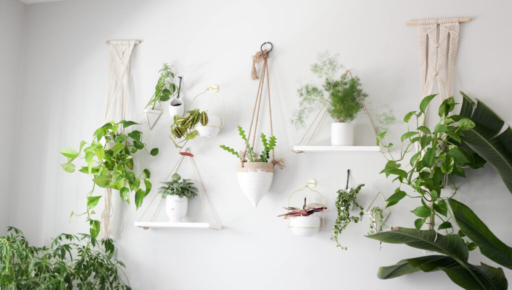 Plant wall with different hanging planters and shelves