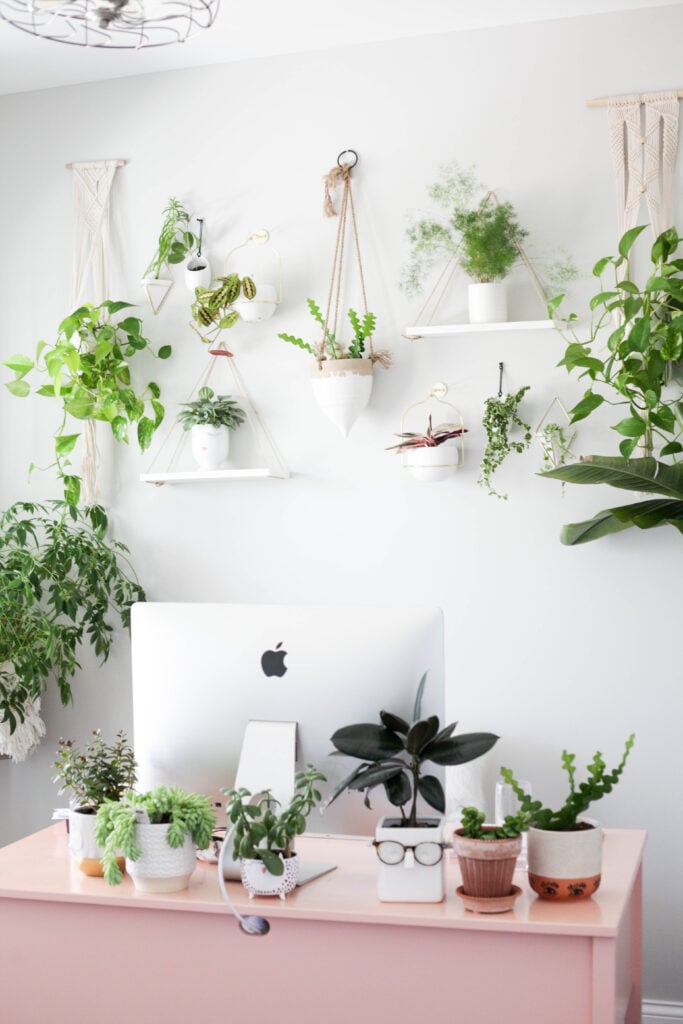 Plant wall