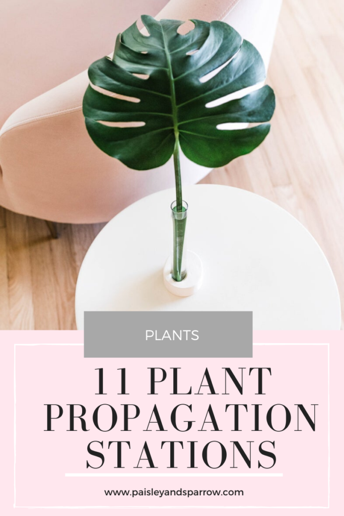 11 Plant Propagation Stations