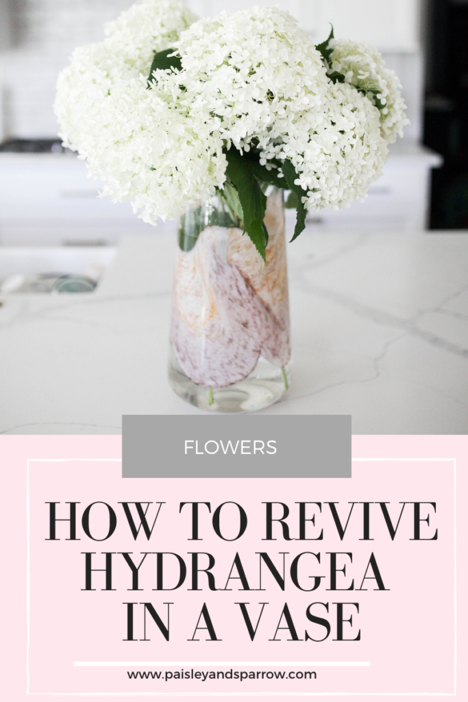 How to Revive Hydrangea in a Vase