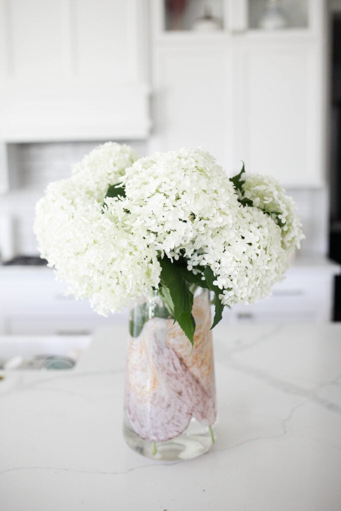 Hydrangea in a vase