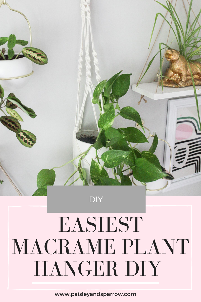 DIY Macrame Plant Hanger Tutorial (+ Video) - Paisley & Sparrow