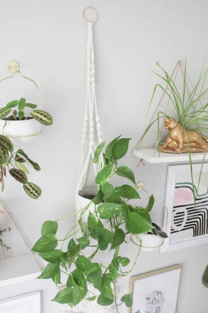 Easy DIY macrame plant hanger with video tutorial 