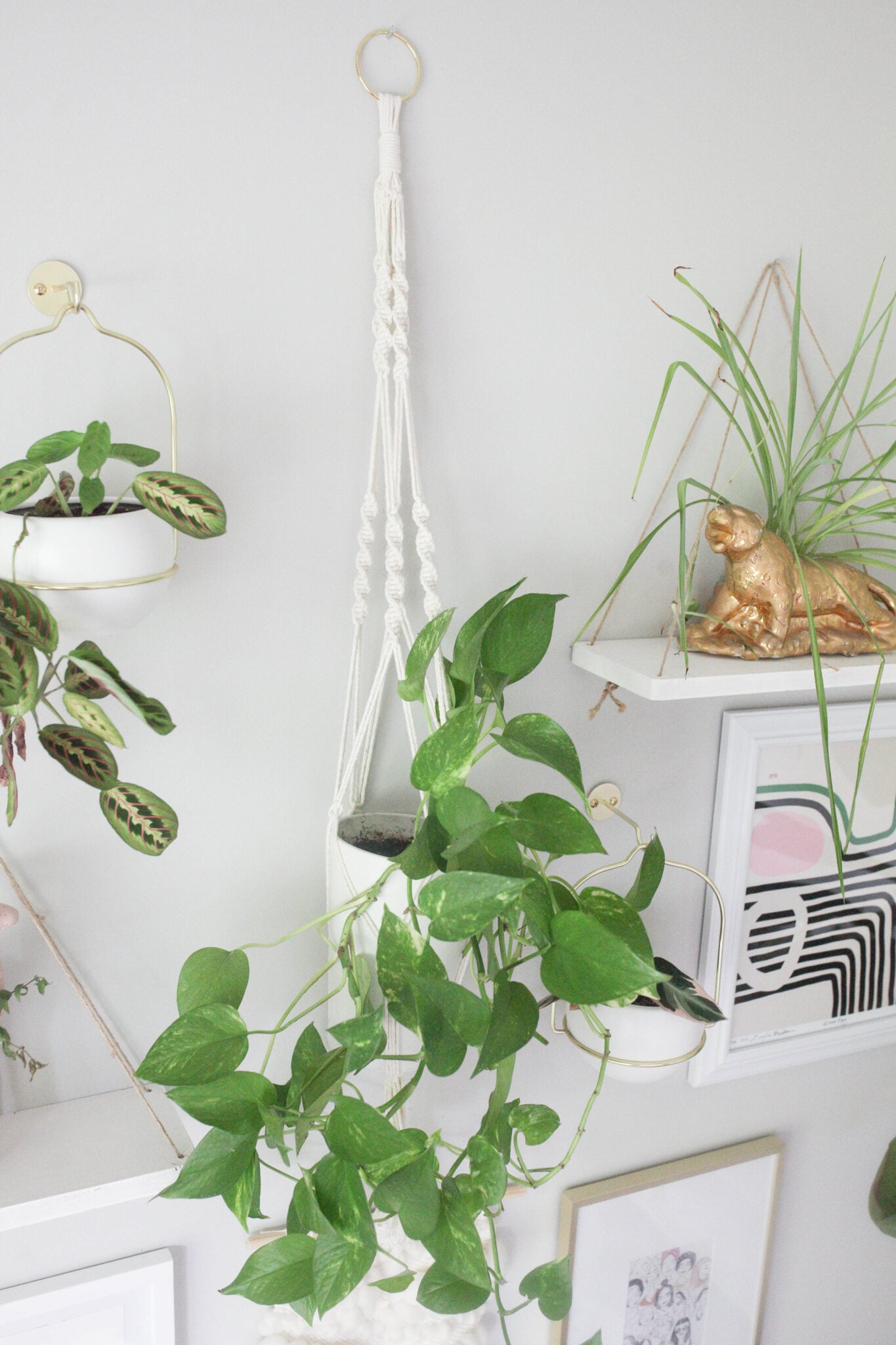 DIY Macrame Plant Hanger Tutorial (+ Video) - Paisley & Sparrow