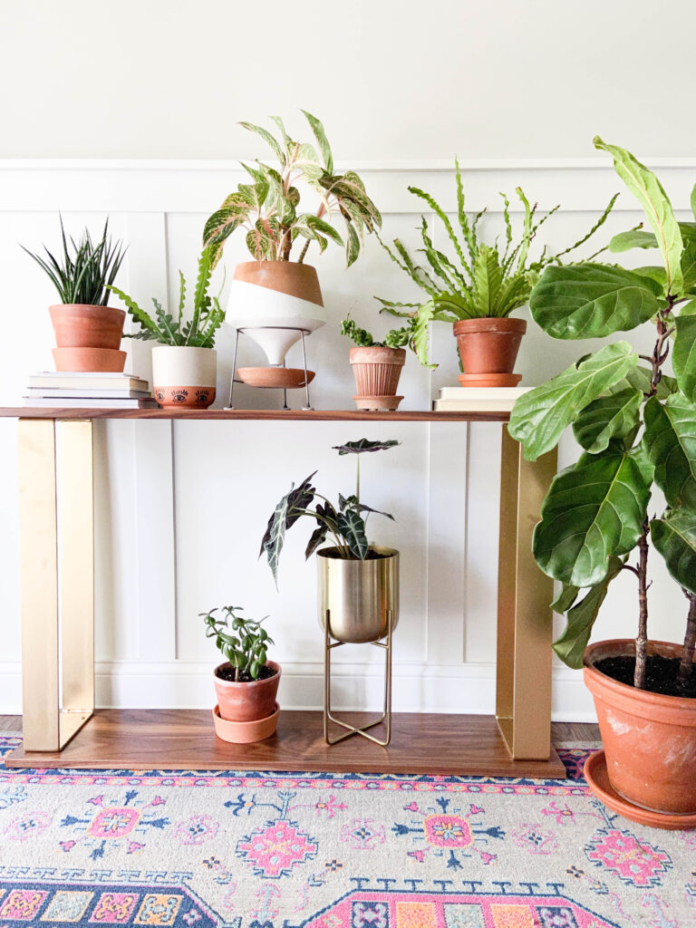 Plants decorating console table