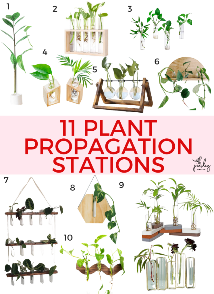 11 Plant Propagation Stations