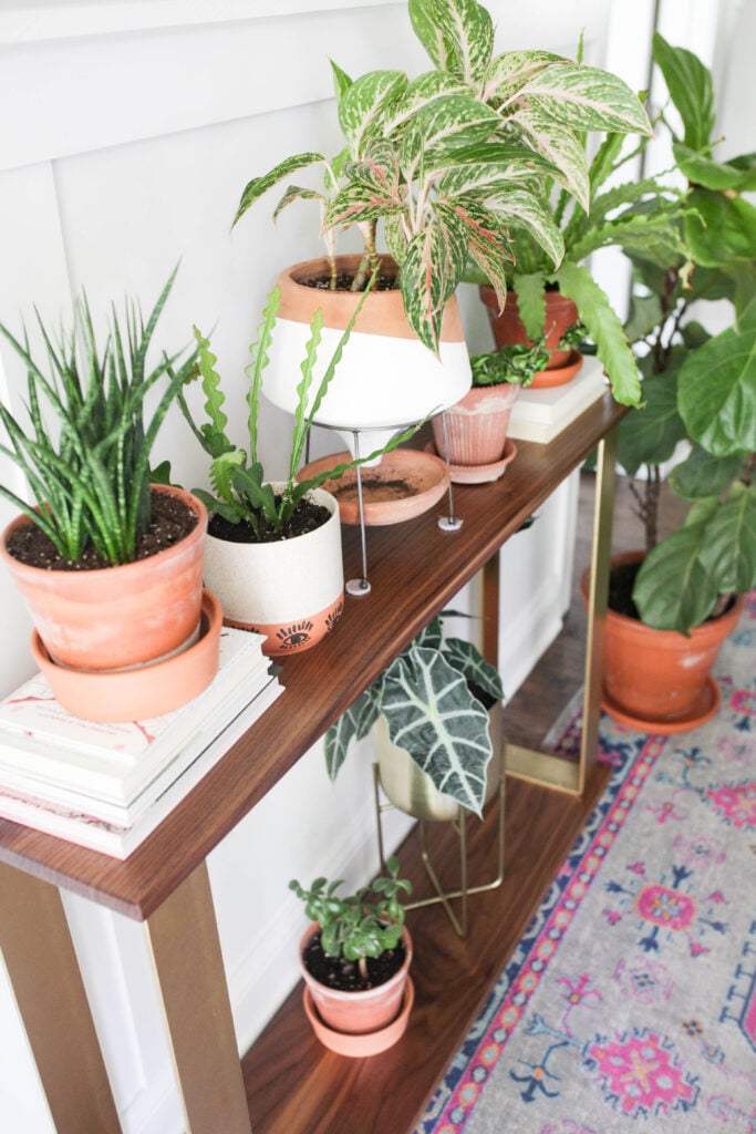 plants on console table