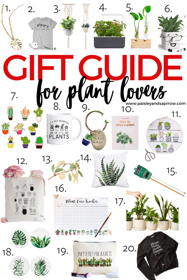 Cool Plants To Send As Gifts at Leeann Noland blog