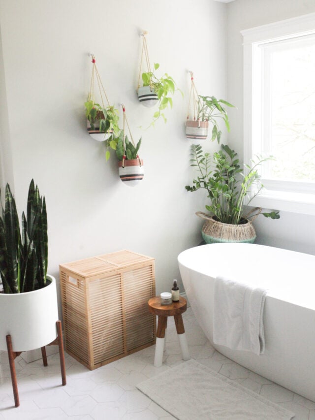 cropped-plant-filled-bathroom-2-scaled-1.jpg