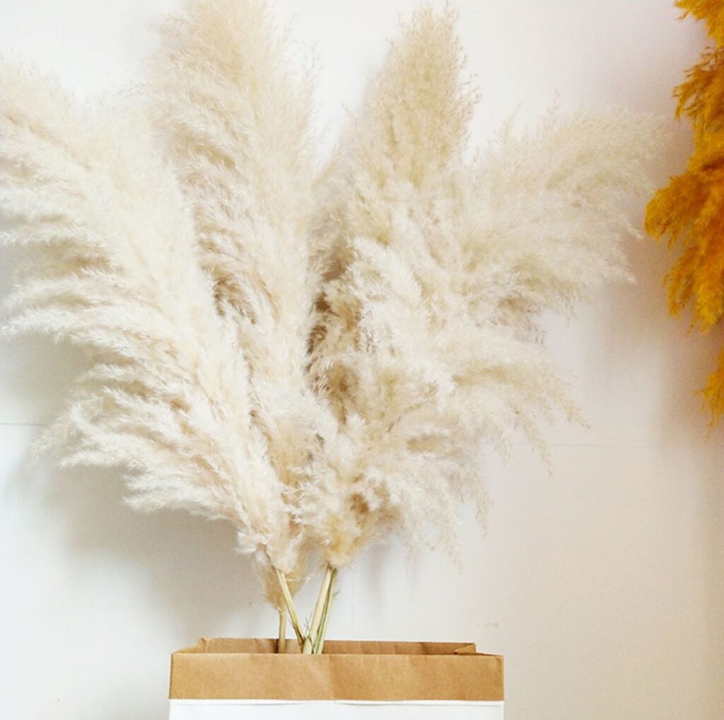 Off-white pampas grass in paper bag