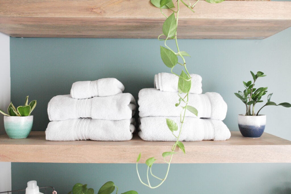 Shelves with plants and towels