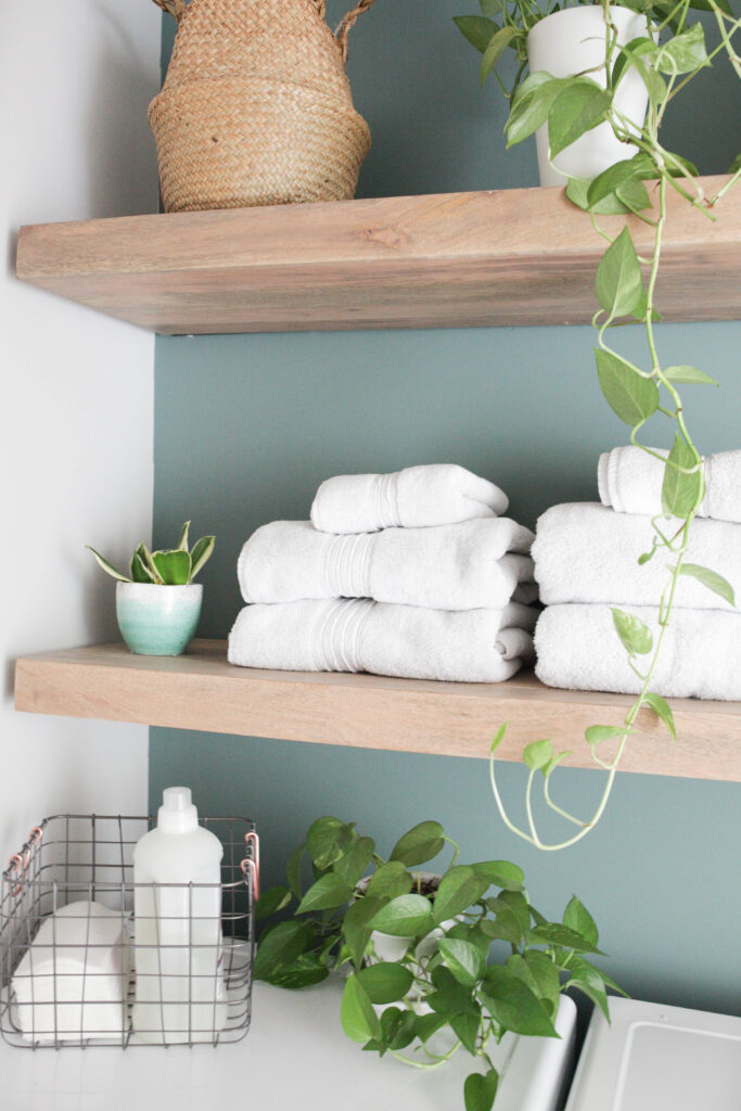 Shelves with plants and towels