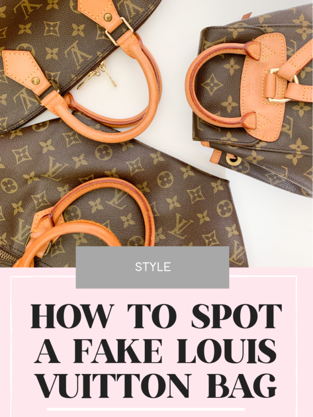 Louis Vuitton Plastic Bag Diy Home