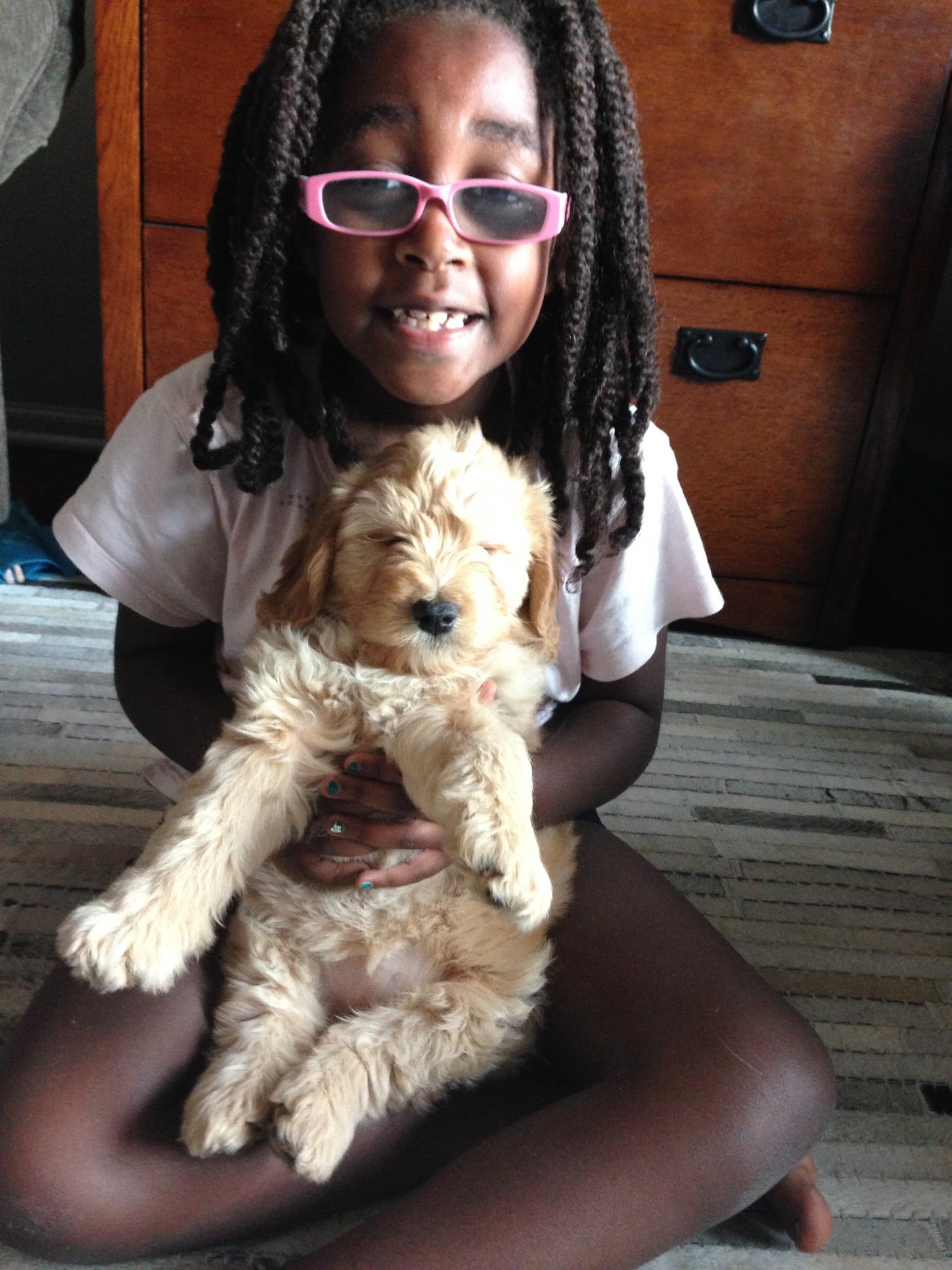 girl holding a mini goldendoodle