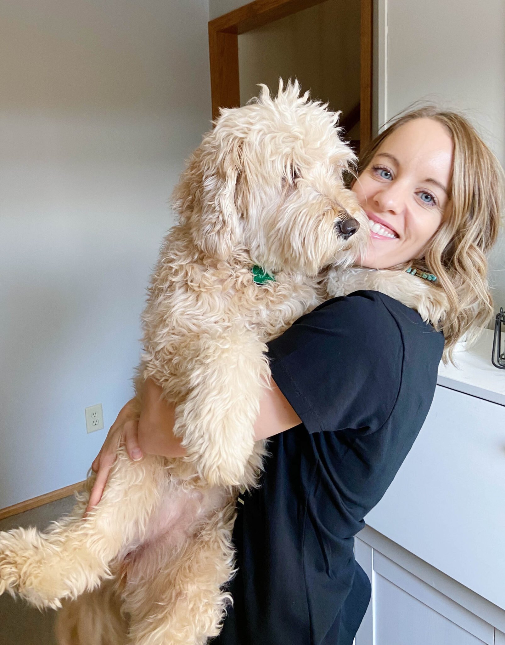 woman holding a mini goldendoodle