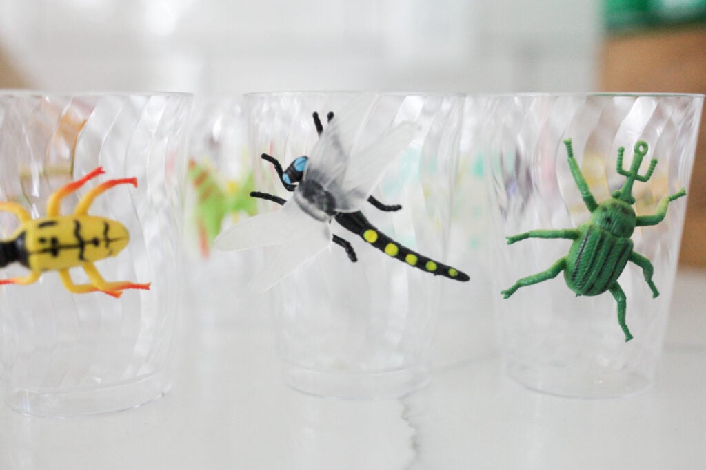 fake bugs clued onto glasses