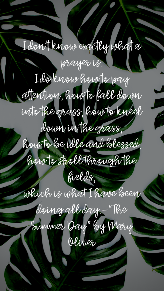 I don't know exactly what a prayer is. I do know how to pay attention, how to fall down into the grass, how to kneel down in the grass, how to be idle and blssed, how to stroll through the fields, which is what I have been doing all day. - "The Summer Day" by Mary Oliver