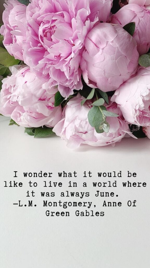 I wonder what it would be like to live in a world where it was always June. - L.M. Montgomery, Anne of Green Gables