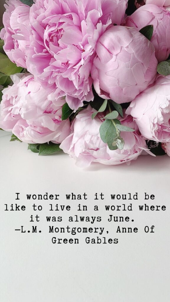 I wonder what it would be like to live in a world where it was always June. - L.M. Montgomery, Anne of Green Gables