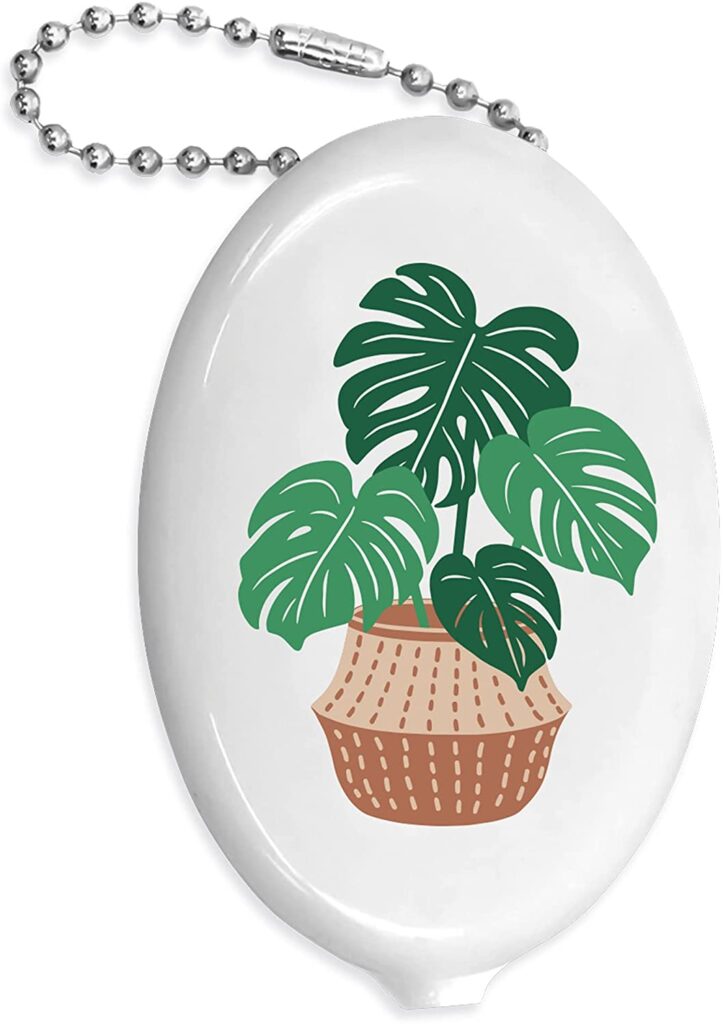 Plastic change holder with monstera plant on it