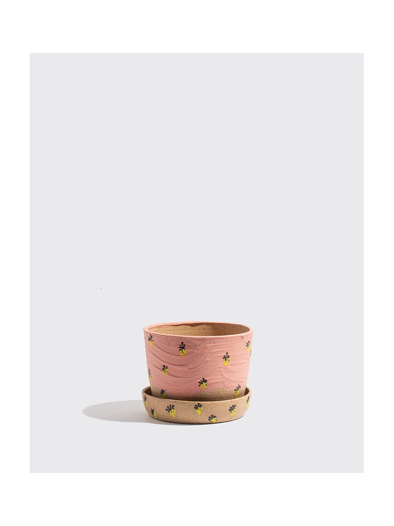 Painted pot