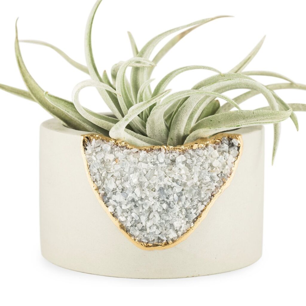 Pot with natural stones and gold edge