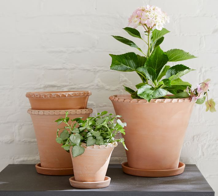 Several scalloped edge pots of various sizes