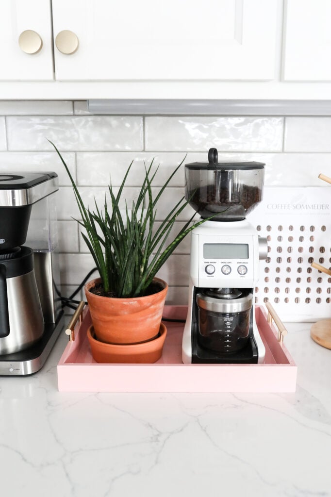 tray with plant and coffee grinder