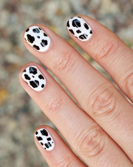 black and white cow nails