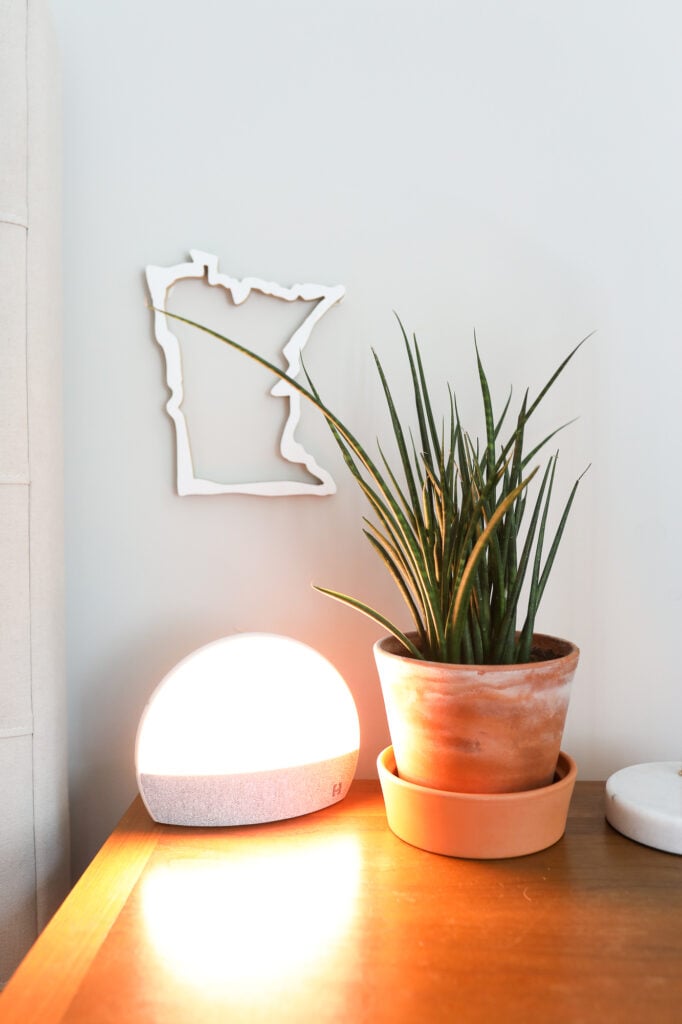 sunrise alarm clock with plant