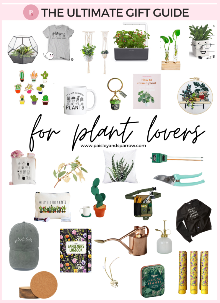 33 Perfect Gifts for Plant Lovers - Unique Plant Ideas 2022 - Paisley ...